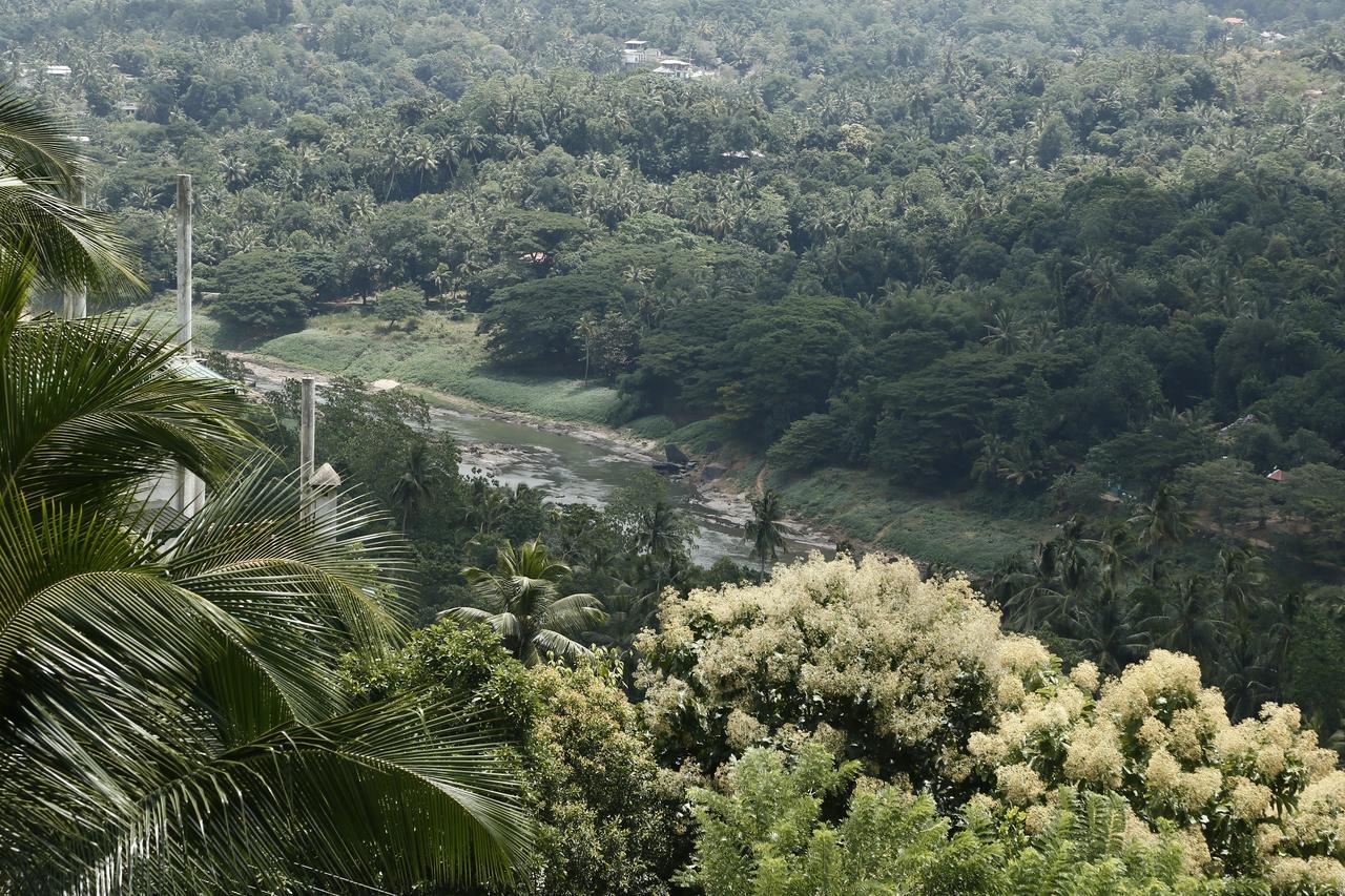 Cirute' Talwatte, Kandy Dış mekan fotoğraf